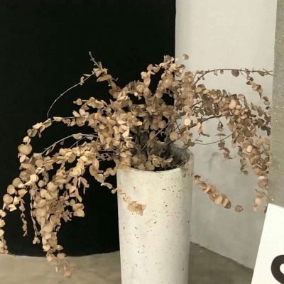 兽设可爱风格设计福瑞交流群